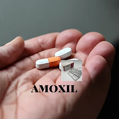 Amoxil 12h precio